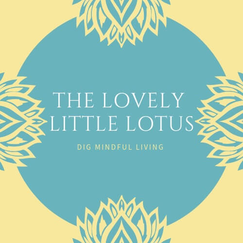 Lovely Little Lotus