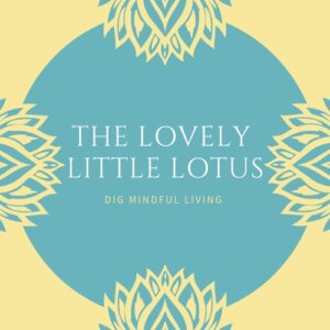 The Lovely Little Lotus