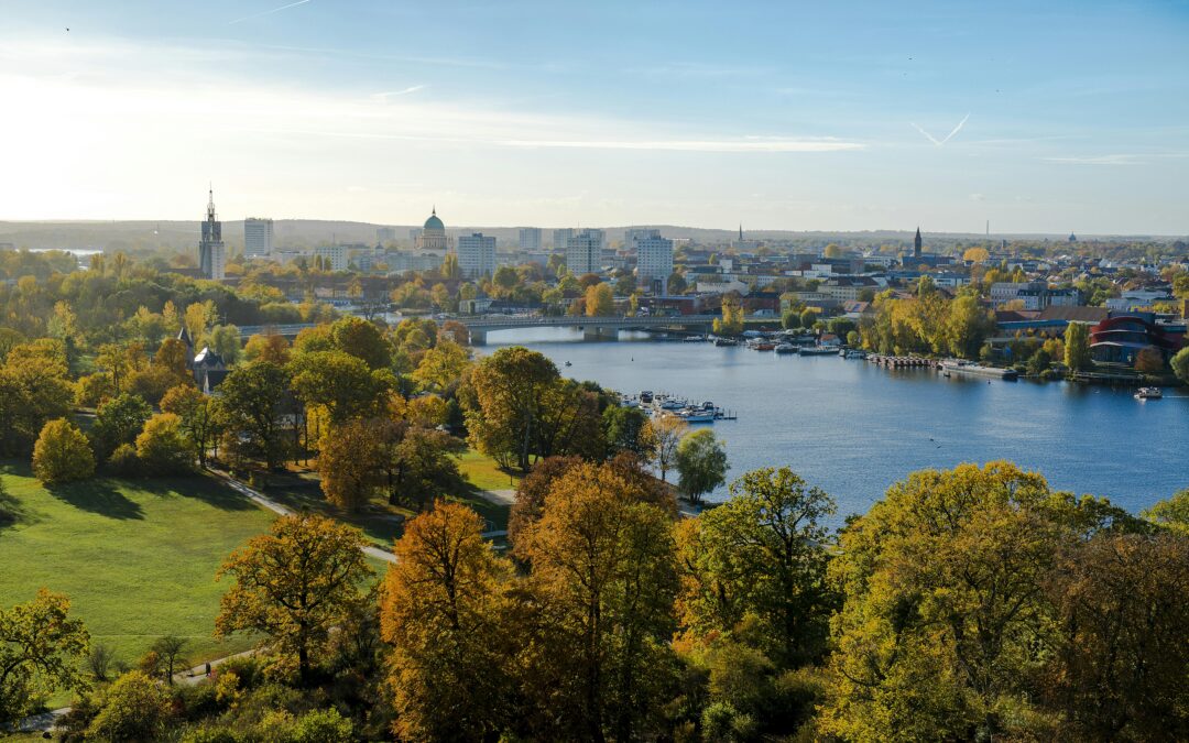 The power of green: how nature enhances well-being in urban environments