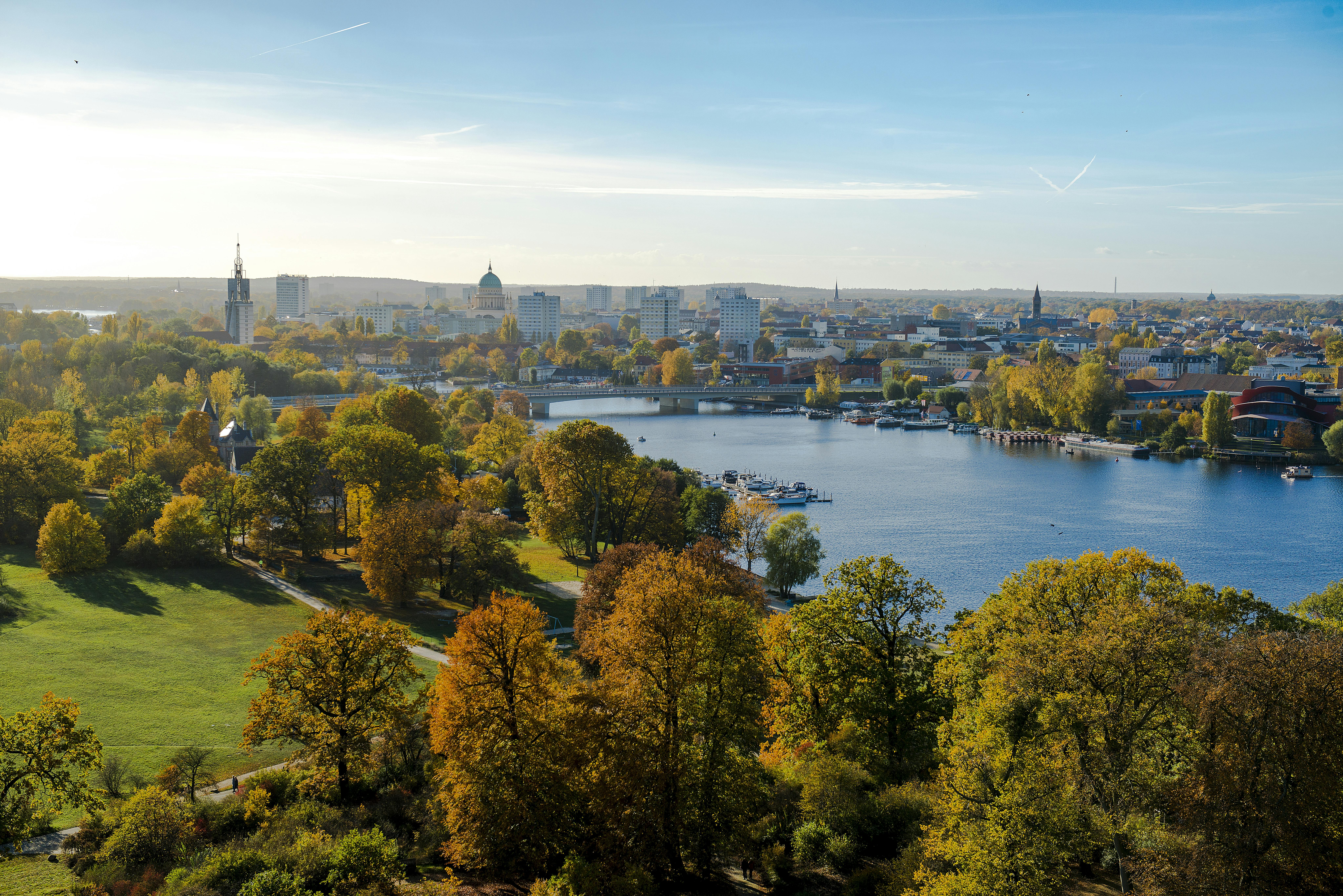 The power of green: how nature enhances well-being in urban environments
