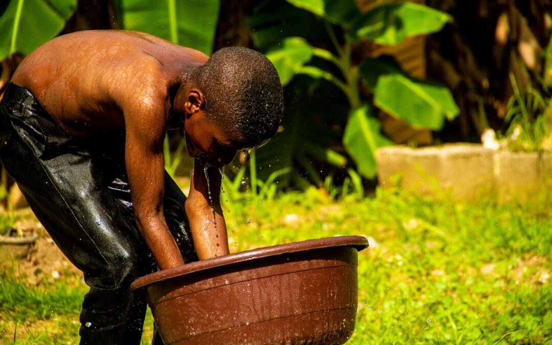 The climate crisis in focus: June’s unprecedented heatwaves