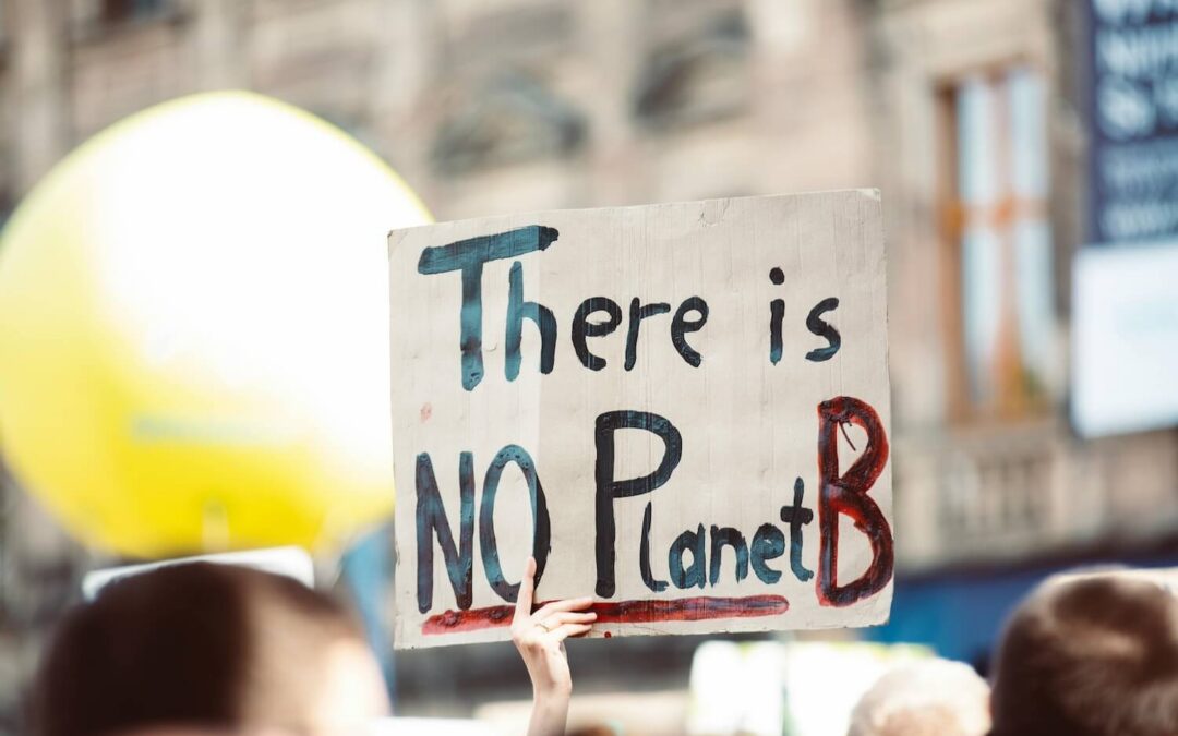 Beyond borders, beyond politics: mobilizing global support for climate action
