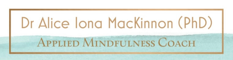 sally-mackinnon-consulting-logo