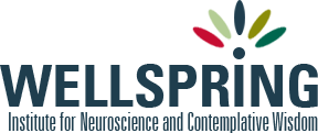 wellspring-institute-logo