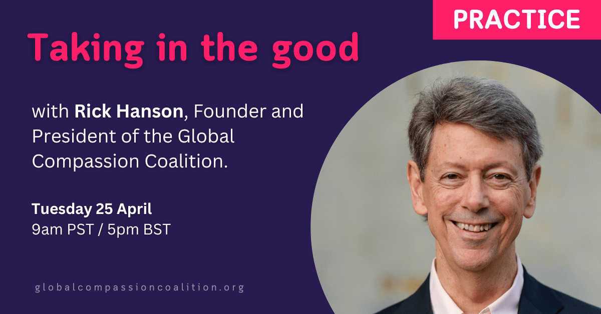 Taking in the good with Rick Hanson