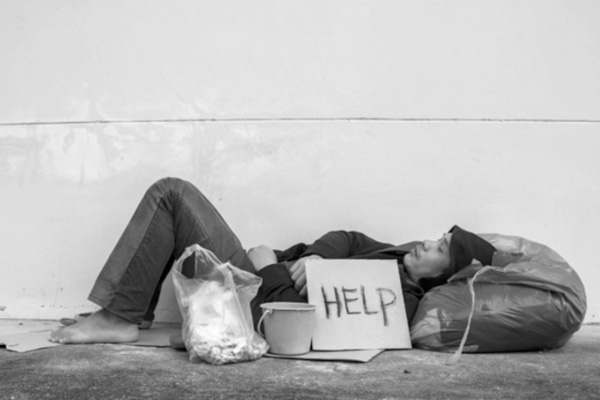 animals-suffering-in-the-world-feat-img