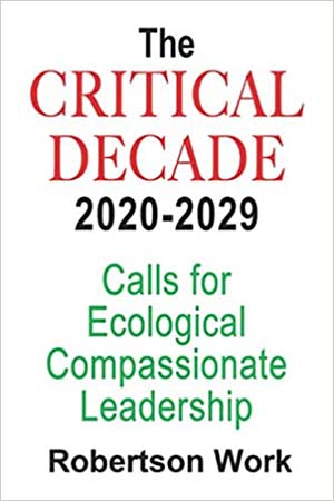 the-critical-decade-book-img