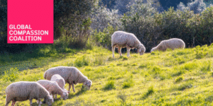 Newsletter-5MAR-300x150